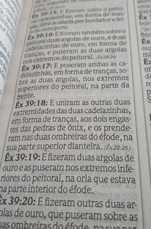 bereana-06